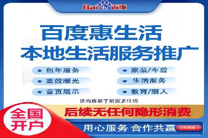 网络推广与竞价策略实战案例